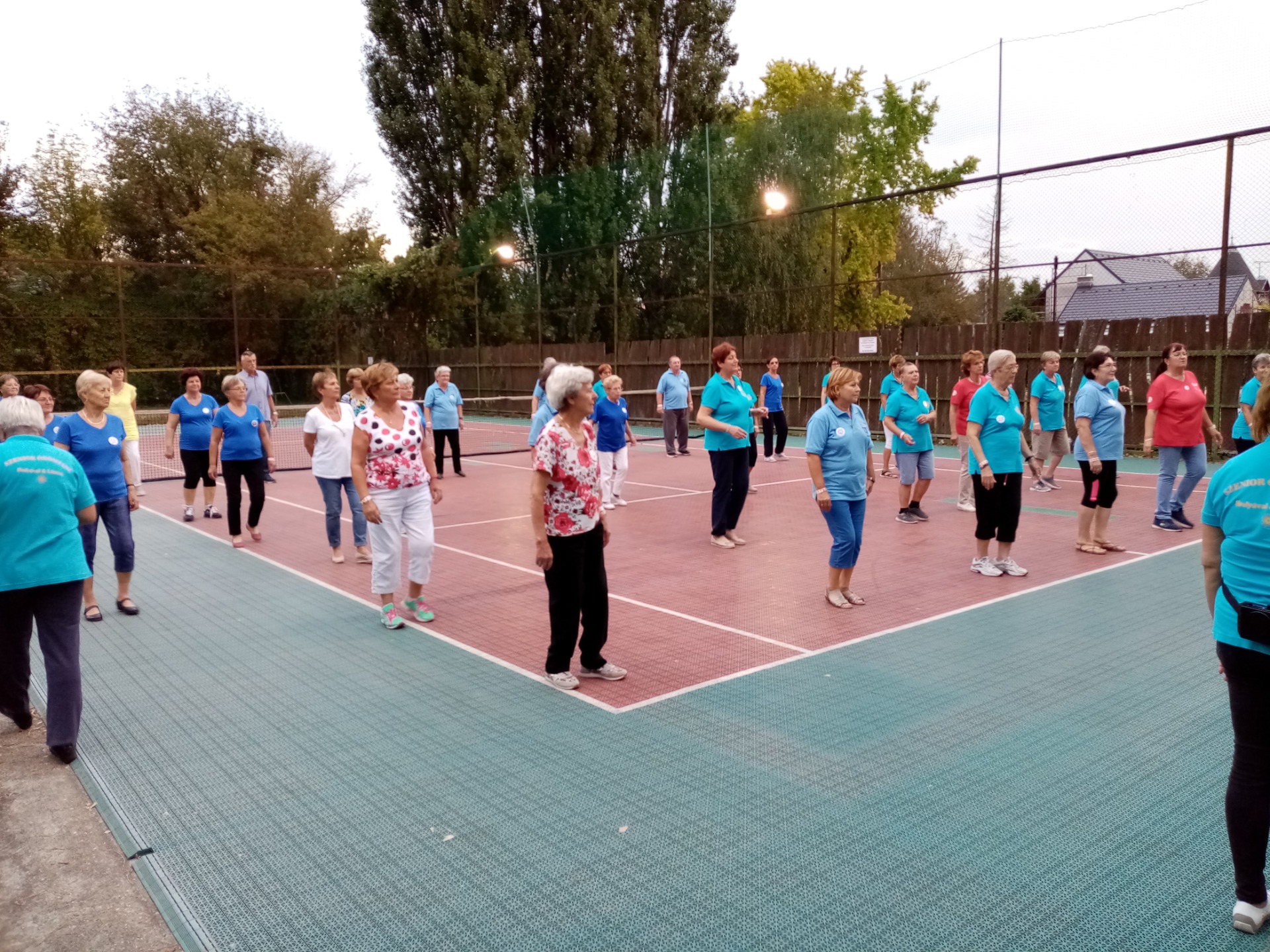 Göd Duna parti nyaralóházak